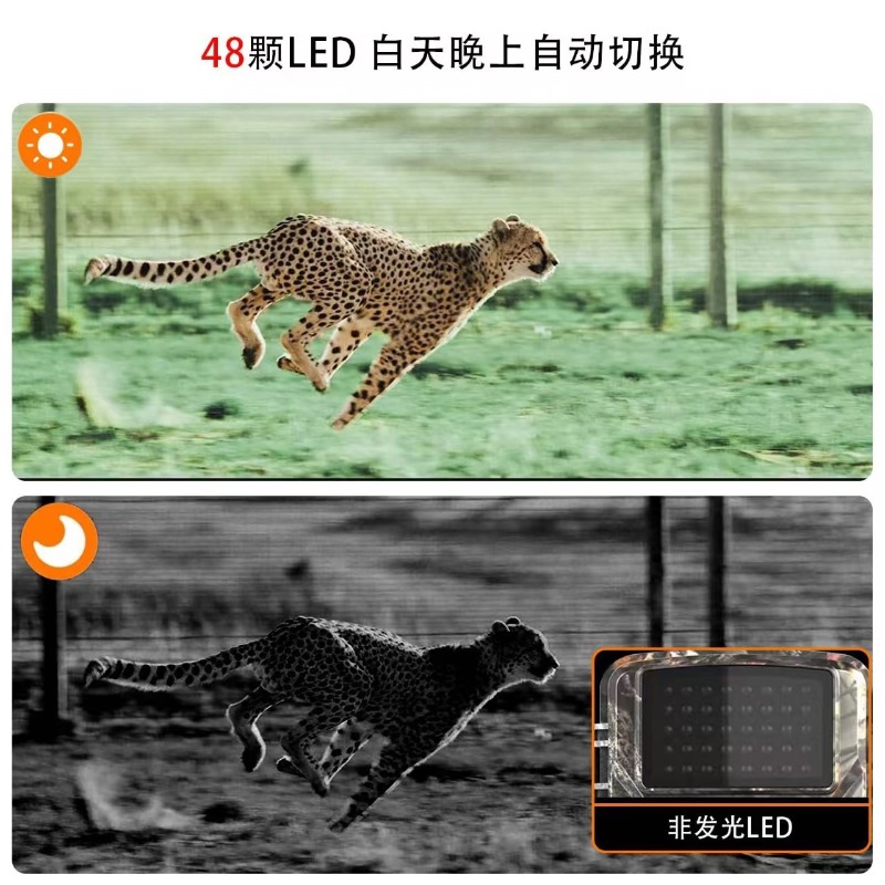 GORĄCA WYPRZEDAŻ DL001 Kamera  – Outdoor Hunting Video Camera recenzja i cena