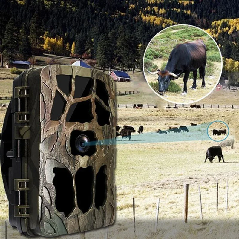 H982 IP66 wodoodporna 4K zewnę – Outdoor Hunting Video Camera recenzja i cena
